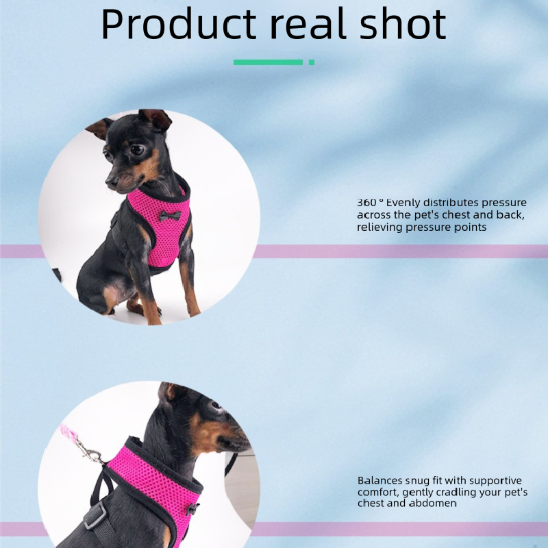 2-Pcs Red Adjustable Pet Harness with Leash – Breathable Mesh Design for Small Dogs, Cats, Chickens, Ducks & More | Anti-Escape, 360° Support, Lightweight & Comfortable in Australia(Size:XL) - view 4