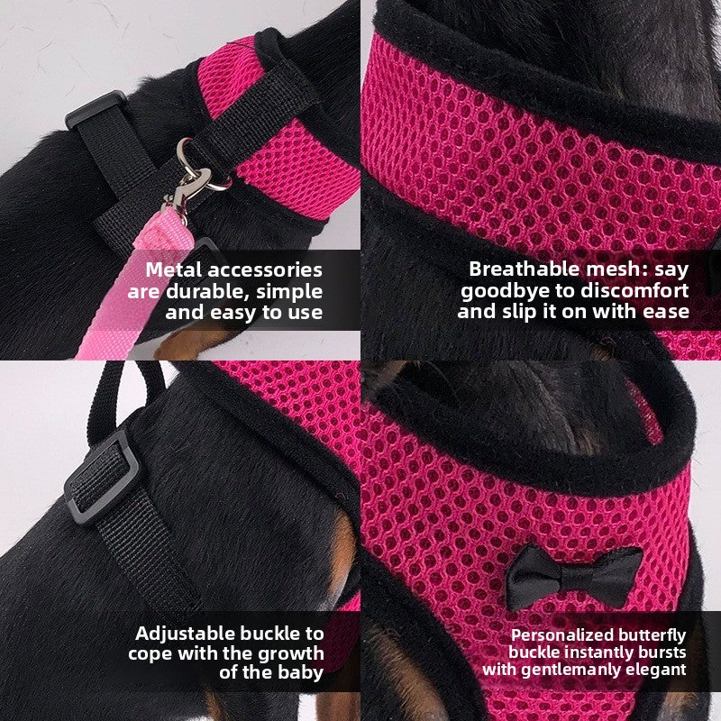 2-Pcs Black Adjustable Pet Harness with Leash – Breathable Mesh Design for Small Dogs, Cats, Chickens, Ducks & More | Anti-Escape, 360° Support, Lightweight & Comfortable in Australia(Size:XL) - view 5