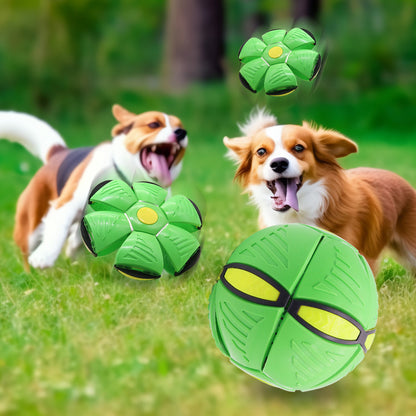 Rose red Transformable Dog Toy – Dual-Mode Bouncing Ball & Flying Disc for Interactive Play, Durable Chewing, and Mental Stimulation - view 4