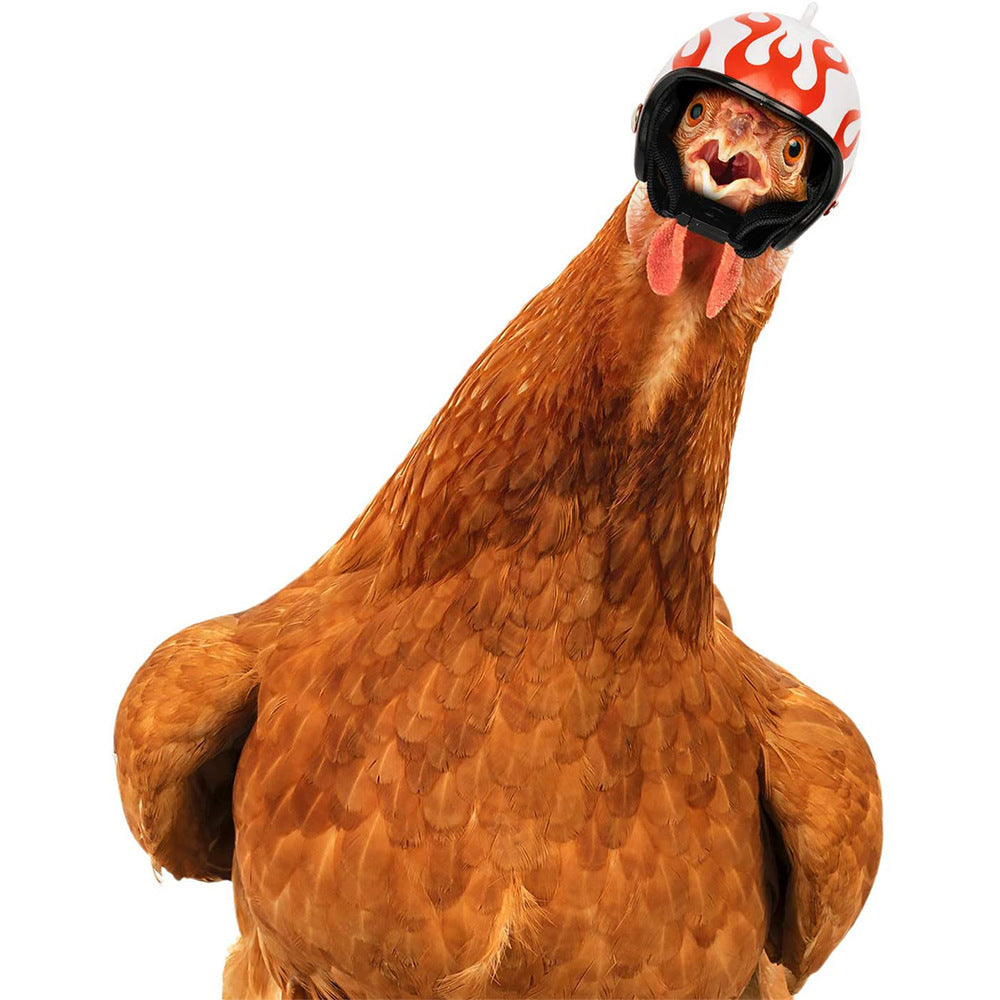 Pink Pet Chicken Helmet Set of 3 – Protective Headgear for Chicks, Hens, and Birds - view 2