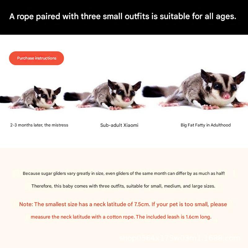 2-Pack Black Small Mammal Harness Set – 6 Pcs (S/M/L ×2) + 2×1.5m Leashes for Secure Outdoor Handling - view 3