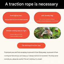 2-Pack Blue Small Mammal Harness Set – 6 Pcs (S/M/L ×2) + 2×1.5m Leashes for Secure Outdoor Handling - view 2
