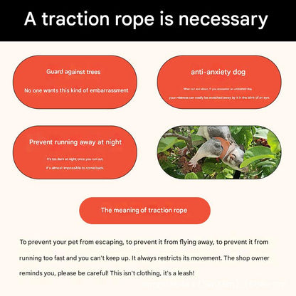 2-Pack Blue Small Mammal Harness Set – 6 Pcs (S/M/L ×2) + 2×1.5m Leashes for Secure Outdoor Handling - view 2