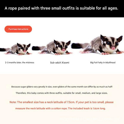 2-Pack dark brown Small Mammal Harness Set – 6 Pcs (S/M/L ×2) + 2×1.5m Leashes for Secure Outdoor Handling - view 3