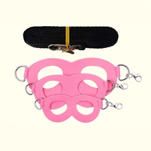 2-Pack Pink Small Mammal Harness Set – 6 Pcs (S/M/L ×2) + 2×1.5m Leashes for Secure Outdoor Handling