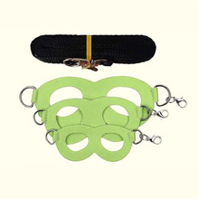 2-Pack Apple green Small Mammal Harness Set – 6 Pcs (S/M/L ×2) + 2×1.5m Leashes for Secure Outdoor Handling