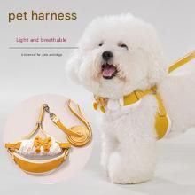 White Lace Y-Shaped Pet Harness and Leash Set - Breathable Mesh Vest for Small to Medium Dogs and Cats - Comfortable Walking Gear with 150cm Leash(Size:S) - view 3