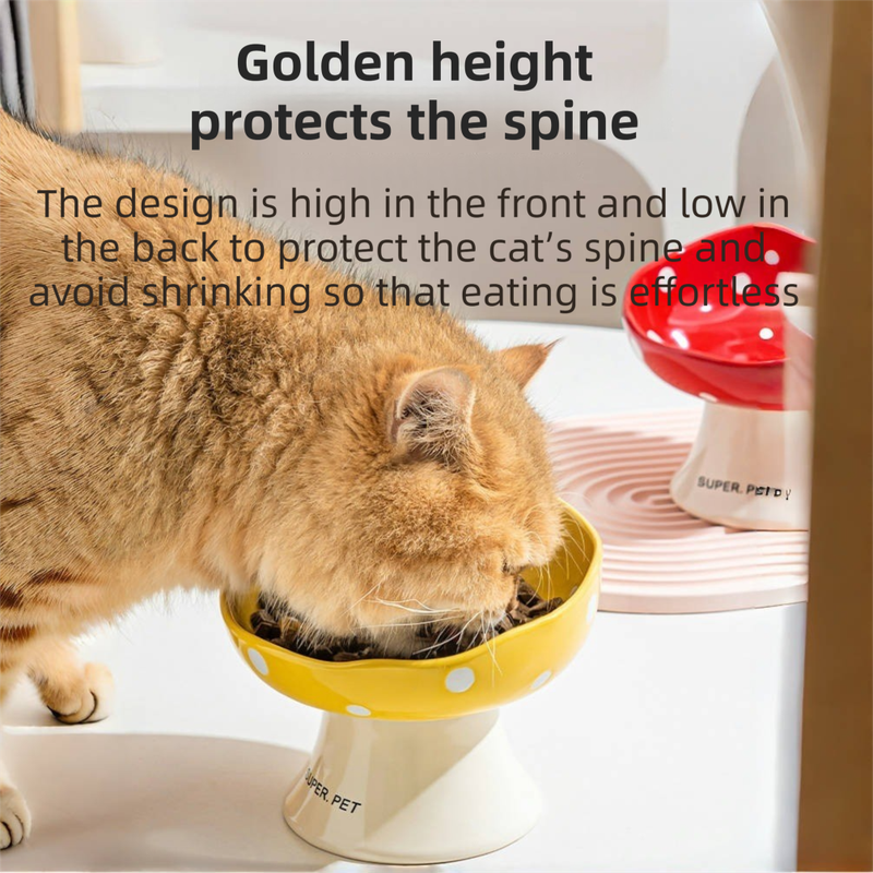 Yellow Elevated 15° Tilted Ceramic Cat Bowl - Anti-Chin Acne Glaze Finish, Non-Slip Weighted Base & Neck Protection Pet Feeder - view 3