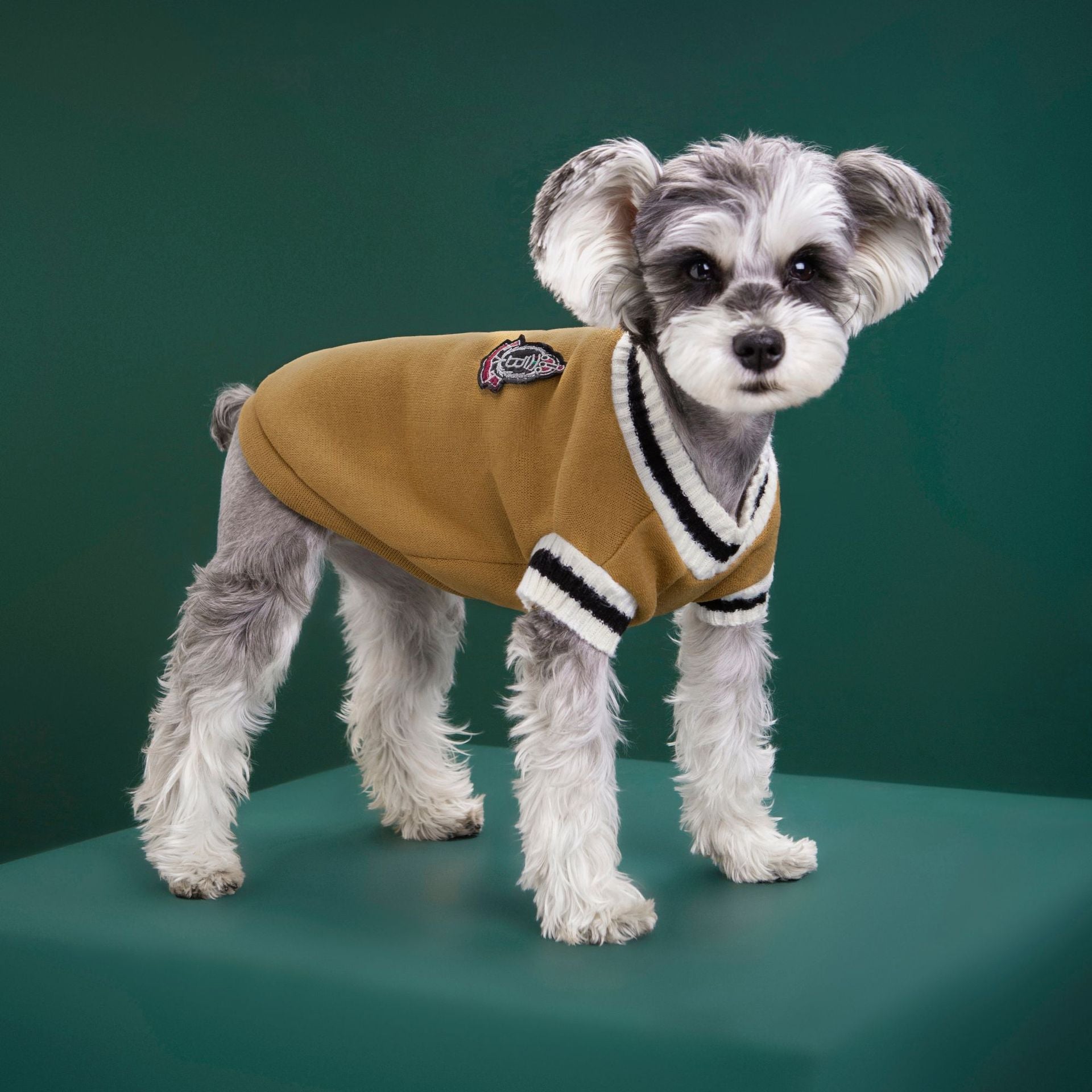 4-Pack M Size Preppy Style V-Neck Knitted Cotton Pet Sweater - Hair-Resistant & Breathable, Classic Fleece-Lined Pullover for Cats and Dogs(Green + Red + Khaki + Grey) - view 7