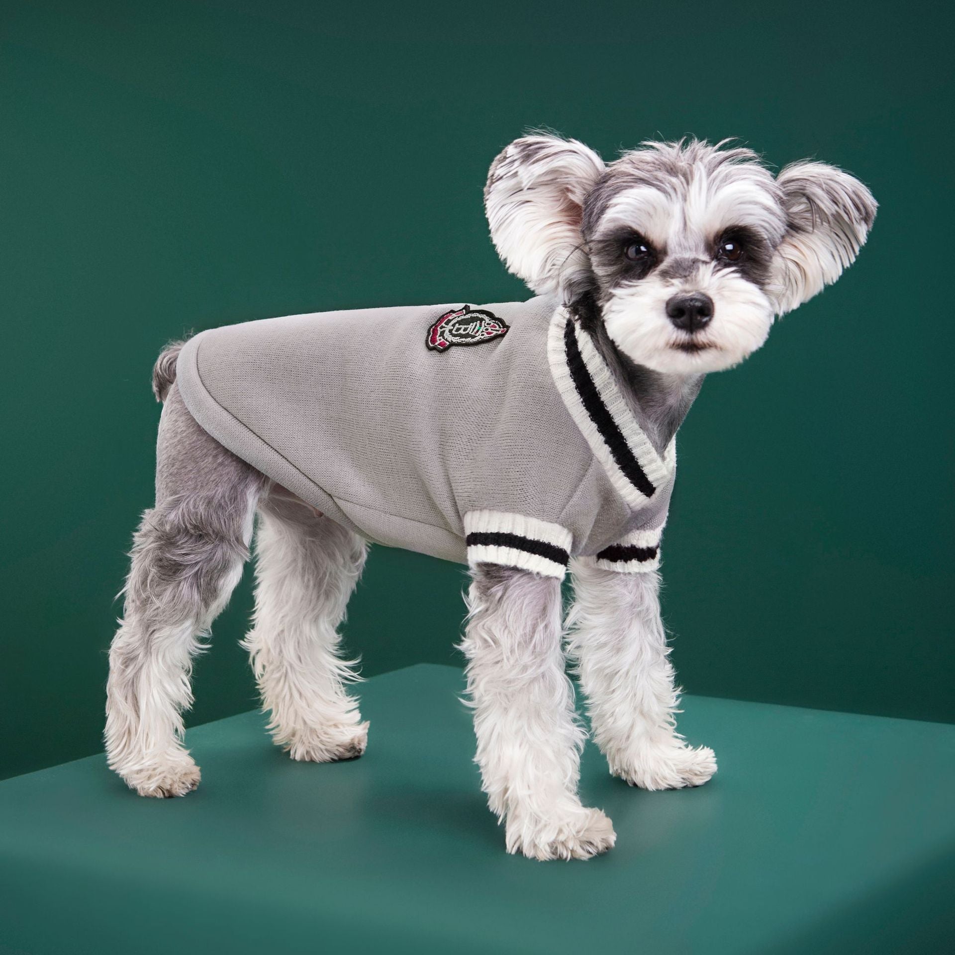4-Pack L Size Preppy Style V-Neck Knitted Cotton Pet Sweater - Hair-Resistant & Breathable, Classic Fleece-Lined Pullover for Cats and Dogs(Green + Red + Khaki + Grey) - view 6