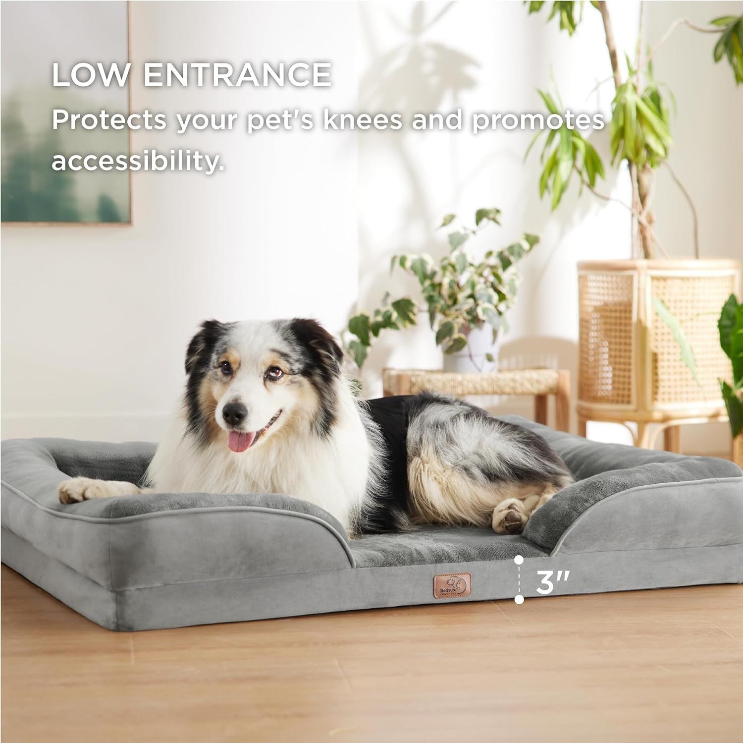 Grey Waterproof Egg-Crate Foam Therapeutic Pet Sofa Bed and Fleece Lounge (M Size 74 x 53 x 17 CM) - Low Entry, High Bolster Support & Zipper Removable Cover - view 4