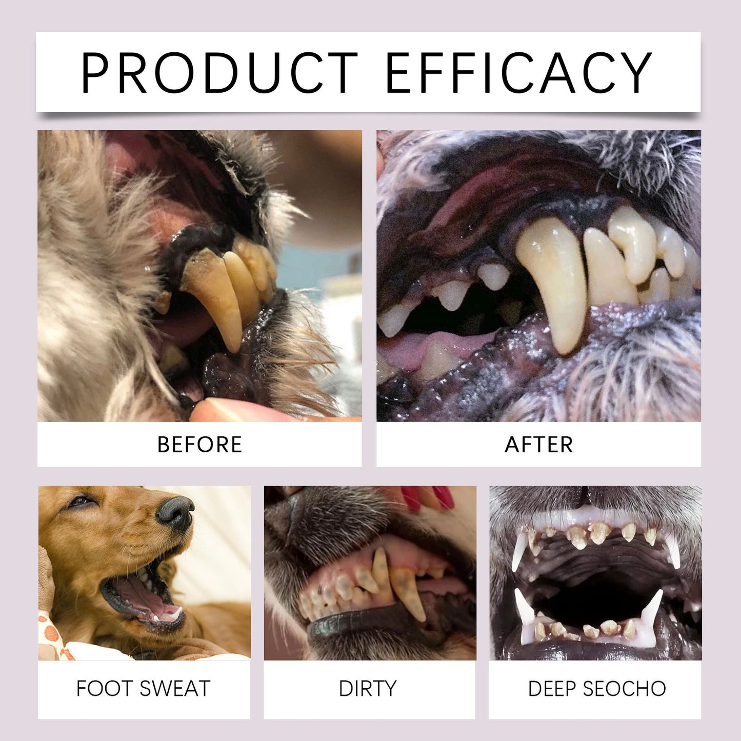2-Pack Professional Pet Dental Cleaning Pens - Gentle Plaque & Tartar Remover and Breath Freshener for Dogs and Cats - view 3
