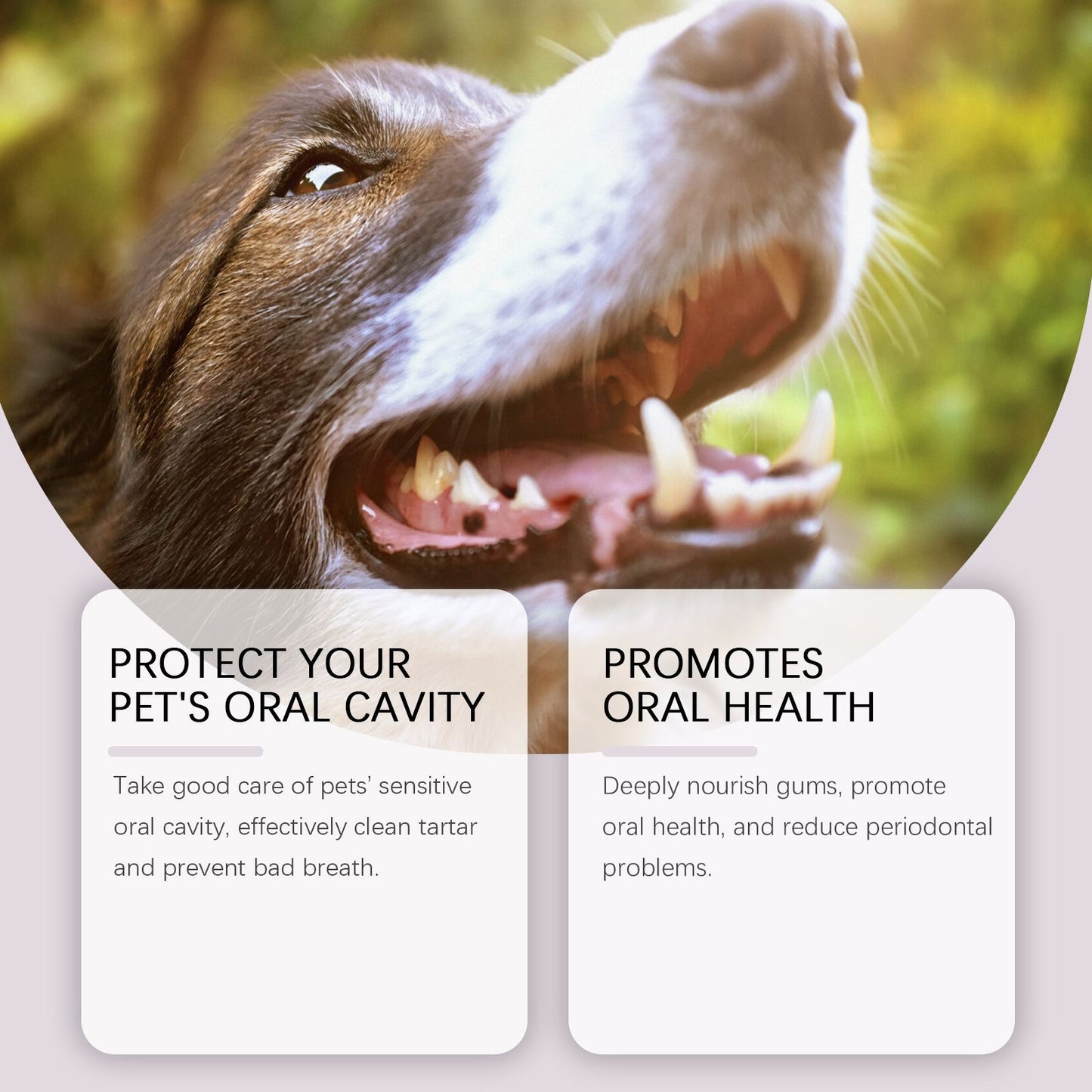 2-Pack Professional Pet Dental Cleaning Pens - Gentle Plaque & Tartar Remover and Breath Freshener for Dogs and Cats - view 7