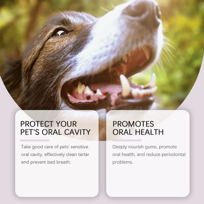 2-Pack Professional Pet Dental Cleaning Pens - Gentle Plaque & Tartar Remover and Breath Freshener for Dogs and Cats - view 7
