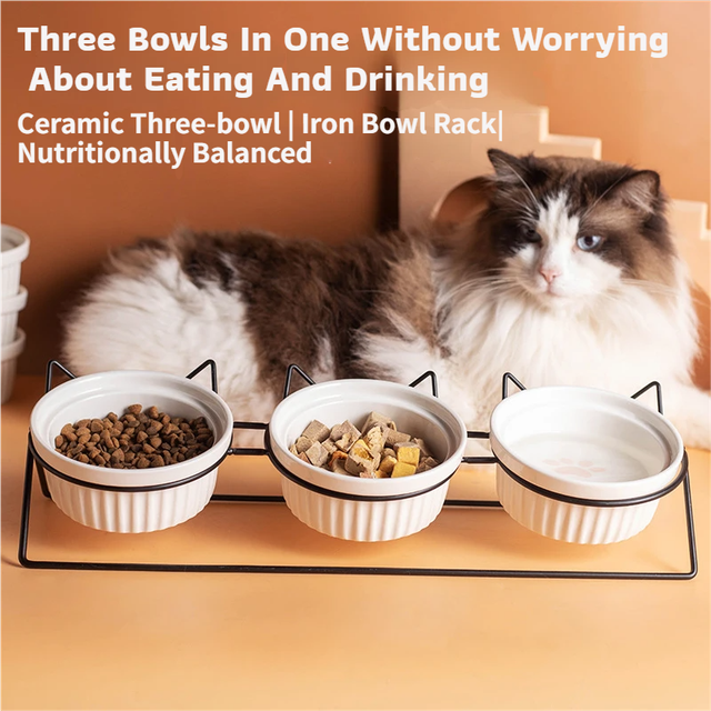 Triple Slanted Ceramic Pet Bowl Set with Elevated Iron Stand and Non Slip Base - 3 x 300ML Versatile Yellow Cat Paw Print Pattern Dishes for Water & Food - view 2