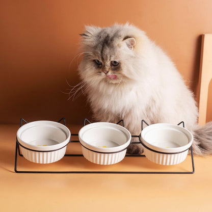 Triple Slanted Ceramic Pet Bowl Set with Elevated Iron Stand and Non Slip Base - 3 x 300ML Versatile Yellow Cat Paw Print Pattern Dishes for Water & Food - view 6