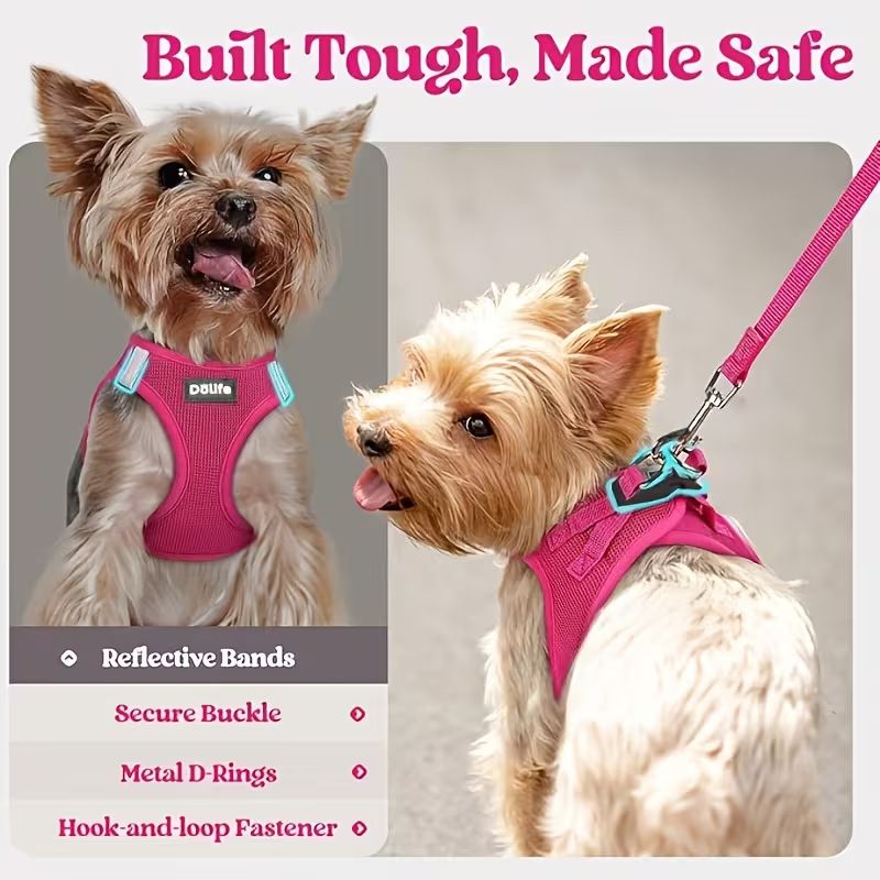 Blue Breathable Dog Harness and Leash Set - Adjustable Reflective Pet Vest with Swivel Clip(Size: XL) - view 5