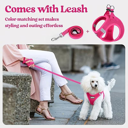 Blue Breathable Dog Harness and Leash Set - Adjustable Reflective Pet Vest with Swivel Clip(Size: XL) - view 6