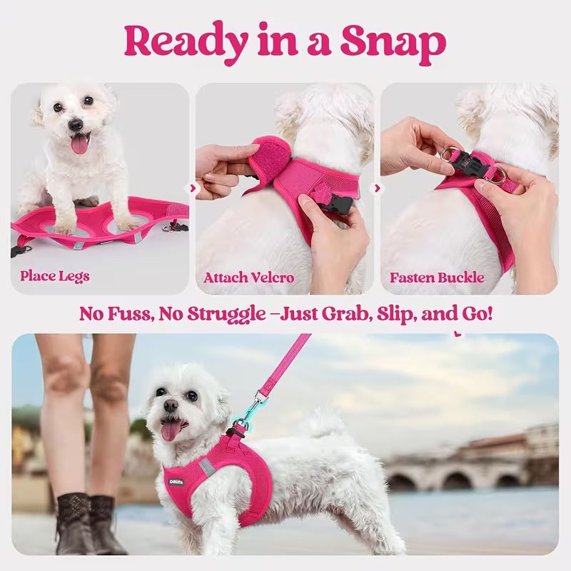 Orange Breathable Dog Harness and Leash Set - Adjustable Reflective Pet Vest with Swivel Clip(Size: XS) - view 3