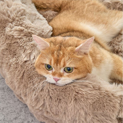 Brown Bubble Plush Pet Sofa Bed with Removable Cushion S Size 60x45x23CM – Ultra-Soft Winter Thickened Warm Pet Nest with Raised Bolster Edges, Washable Plush Cover and Non-Slip Base, Cozy and Soft Sleeping Space for Dog & Cat Home Use - view 7