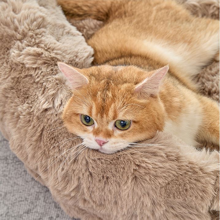 Brown Bubble Plush Pet Sofa Bed with Removable Cushion M Size 70x55x23 cm – Ultra-Soft Winter Thickened Warm Pet Nest with Raised Bolster Edges, Washable Plush Cover and Non-Slip Base, Cozy and Soft Sleeping Space for Dog & Cat Home Use - view 7