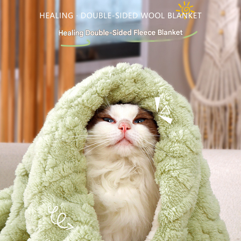 2-piece L size Green Pet Winter Comfort Bundle – 70x55cm Plush Pet Blanket and 60x40cm Thickened Pet Sleeping Bed Set for Dogs and Cats, Double-Sided Warm Blanket with Soft Plush Bed Cushion - view 8