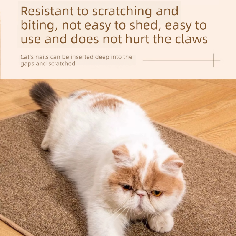 Grey M size 50x80cm Soft Cat Scratching Mat & Lounge Bed – Durable Furniture Protector Rug, Washable Scratch Pad for Cats and Small Pets - view 5