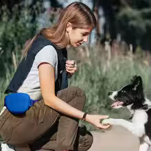 Cyan Silicone Dog Training Treat Pouch with Adjustable Waist Belt Hands-Free Pet Reward Bag for Outdoor Walks - view 2