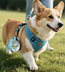 Blue Portable Pet Water Bottle with Foldable Drinking Bowl, 285ml Travel Dog Water Dispenser for Walking Hiking and Outdoor Adventures - view 2