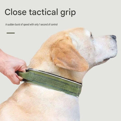 Blue Tactical Dog Collar for Large Dogs (L size)- Wide Padded Nylon Collar with Quick Release Metal Buckle, Control Handle and D-Ring for Walking and Training - view 6