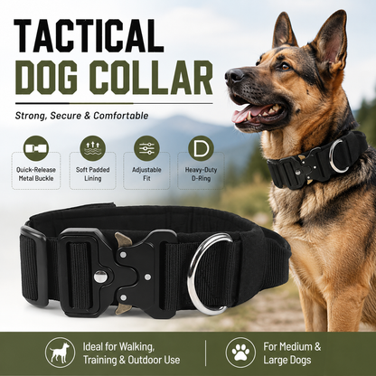 Black Tactical Dog Collar for Large Dogs (L size)- Wide Padded Nylon Collar with Quick Release Metal Buckle, Control Handle and D-Ring for Walking and Training