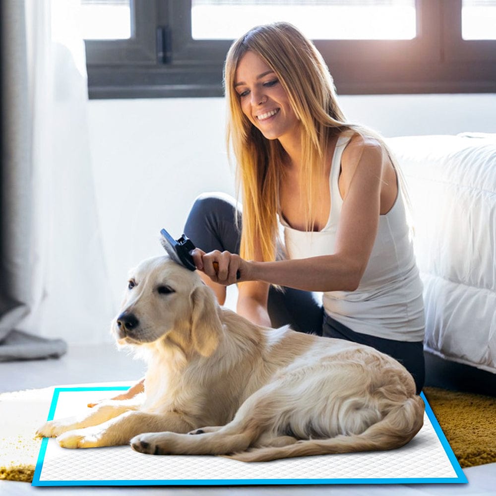 100pcs Dog Absorbent Training Pad 60 x 60 cm - view 3