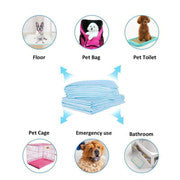 200pcs Dog Absorbent Training Pad 60 x 60 cm - view 2